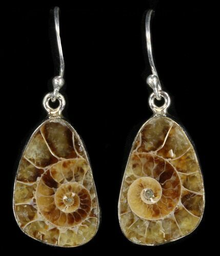 Fossil Ammonite Earrings - Sterling Silver #38134
